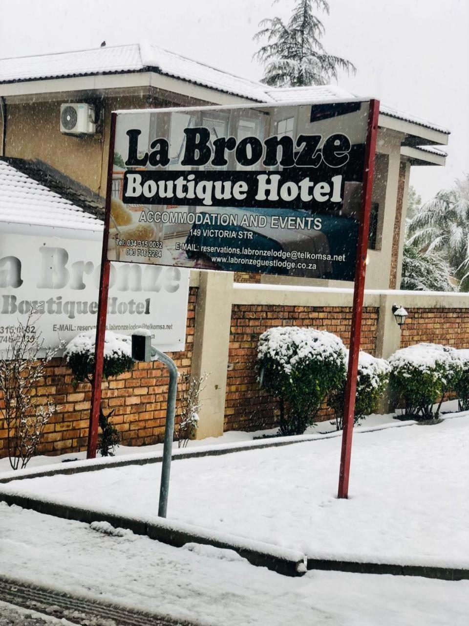 La Bronze Guest * Newcastle